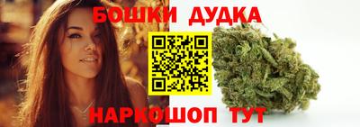 дурь Сланцы