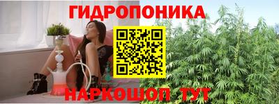 дурь Сланцы