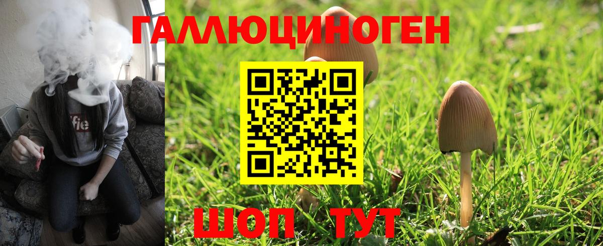 Ярцево  Псилоцибиновые грибы GOLDEN TEACHER  Вход с VPN 